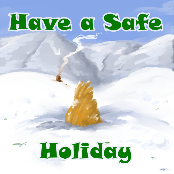 Have a Safe Holiday!
